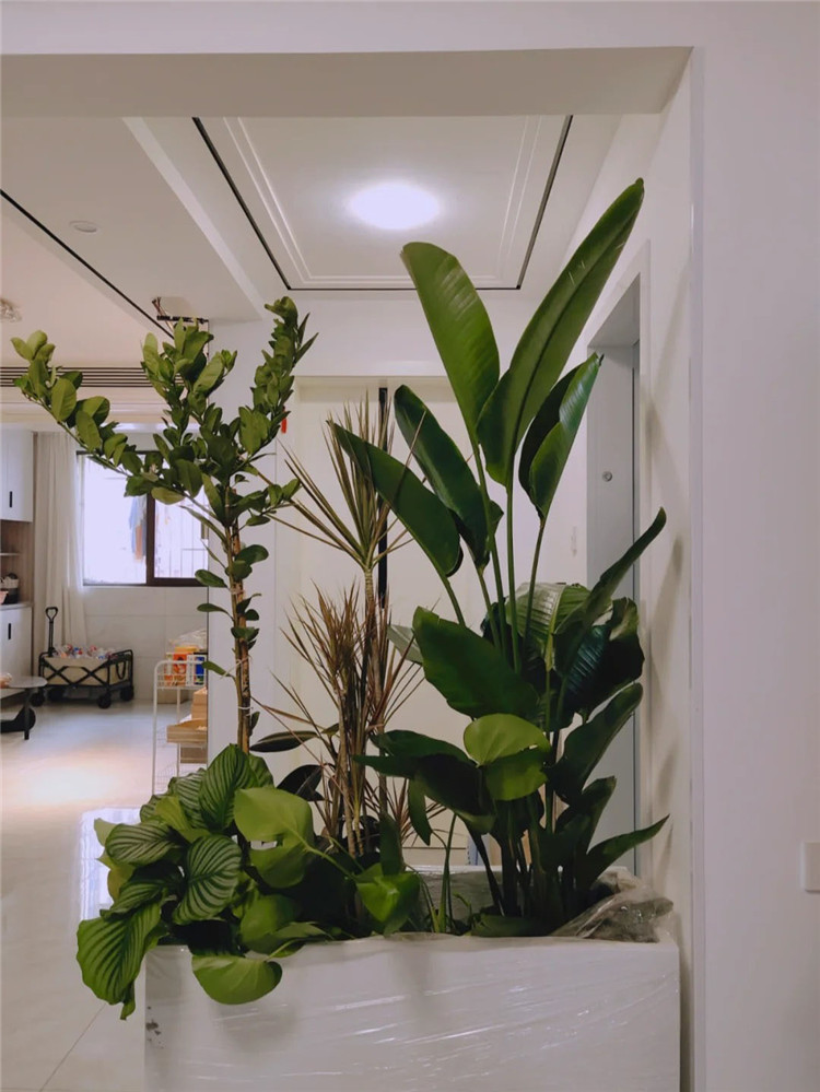 武漢裝修,空間規(guī)劃,室內(nèi)設(shè)計(jì) 武漢裝修,空間規(guī)劃,室內(nèi)設(shè)計(jì)