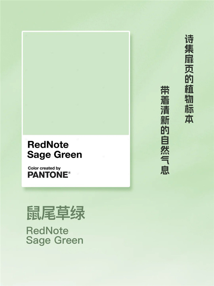 家居配色,武漢裝修,武漢裝修設計 家居配色,武漢裝修,武漢裝修設計