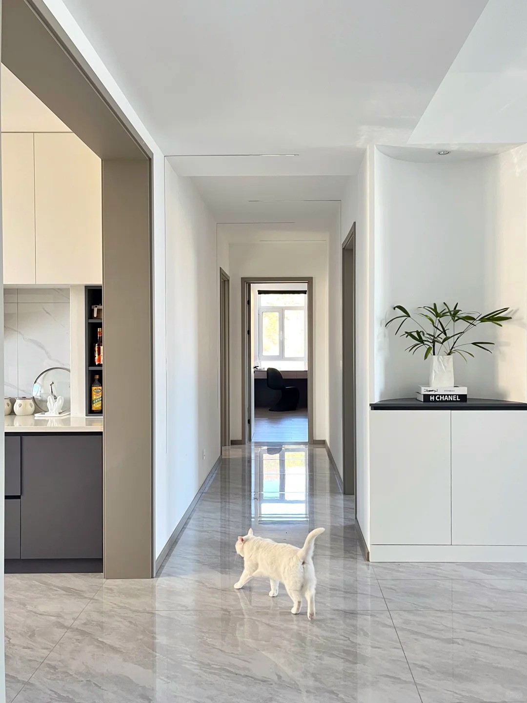 養寵裝修,寵物家庭裝修,養寵裝修選材